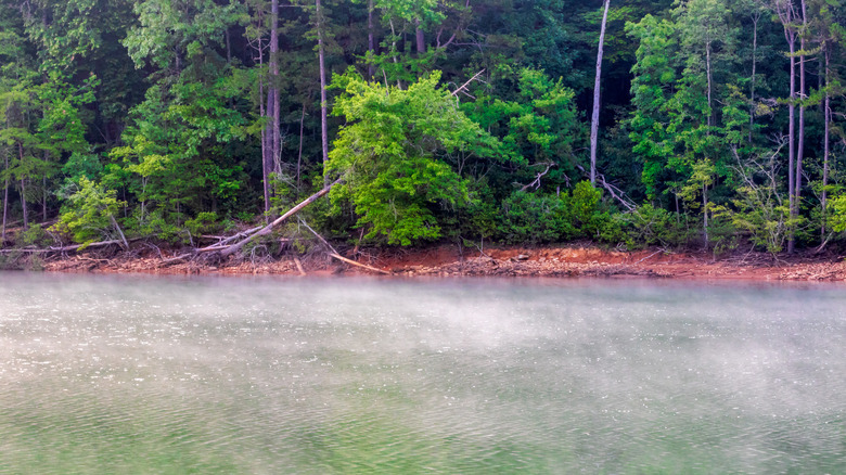 Foggy morning at Lake Nottely in Georgia
