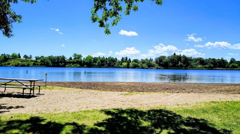 The beach at Lake Renwick