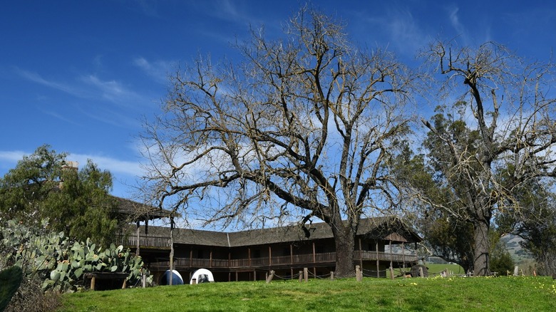 Tall oaks surround a historic adobe ranch house at Petaluma Adobe State Historic Park.