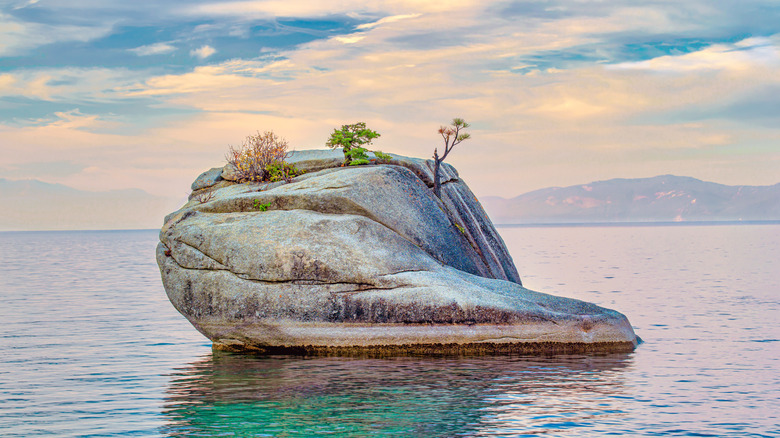 Bonsai Rock in Lake Tahoe with pastel-colored skies behind