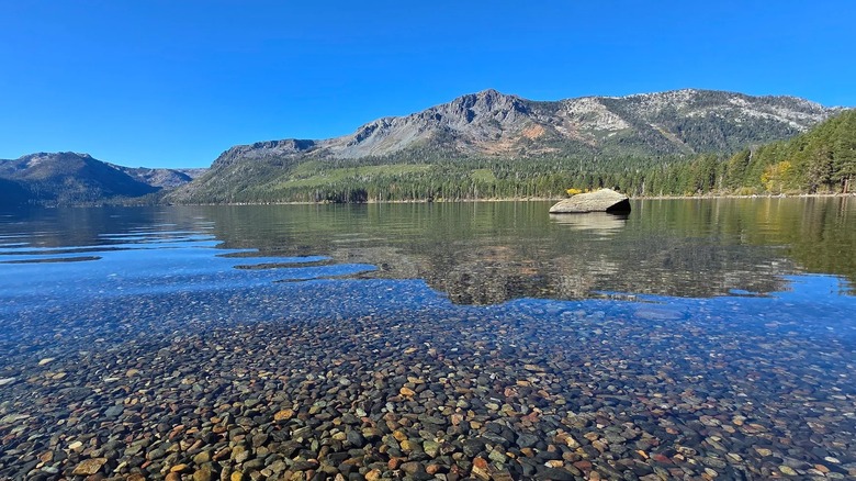 Fallen Leaf Lake's clear waters in Lake Tahoe
