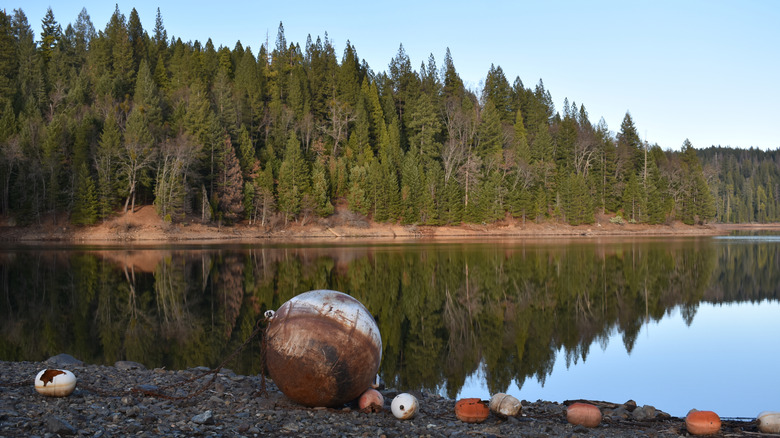 A rustic mooring ball on the shore of Sugar Pine Reservoir in California's Placer County