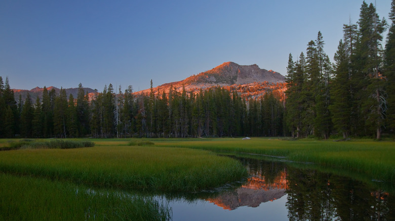 A view from the shore of Wright's Lake in California's Desolation WIlderness