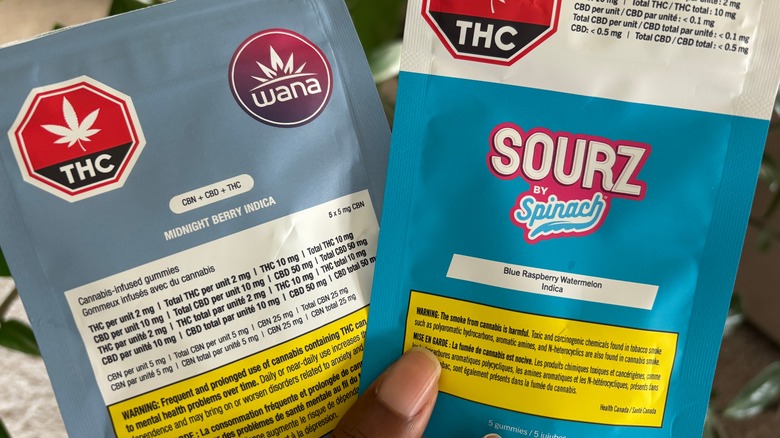 Close-up image of a hand holding two packages of CBD and THC-infused gummies