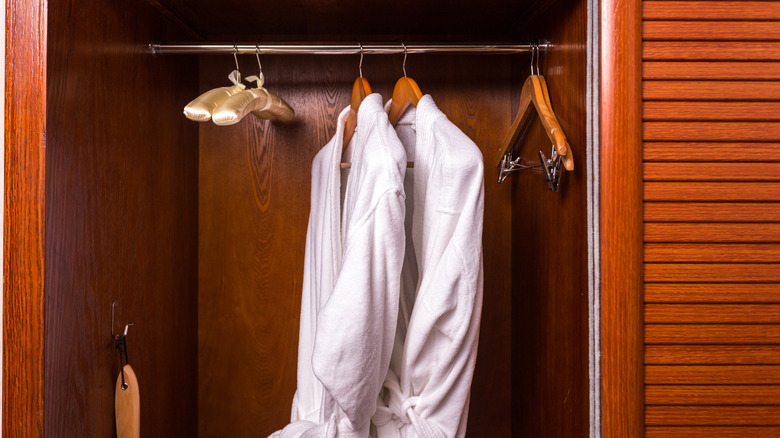 Closet with wooden and silk hangers