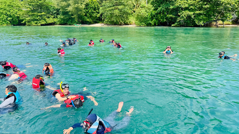 Lampung, Indonesia - May 30, 2025 : A group of snorkelers enjoys the crystal-clear waters surrounded by lush tropical greenery, exploring the underwater beauty near a serene island shoreline.