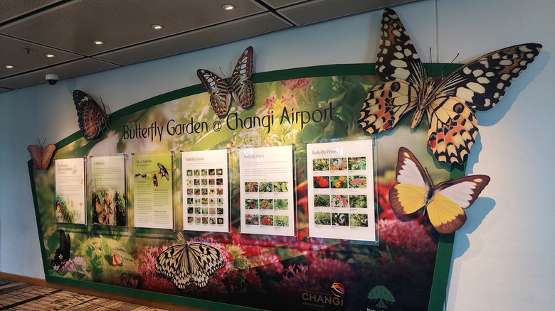 Exhibit notes and sign at the Butterly Garden at Changi Airport in Singapore