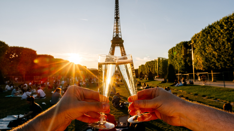 picnic in Eiffel tower park
