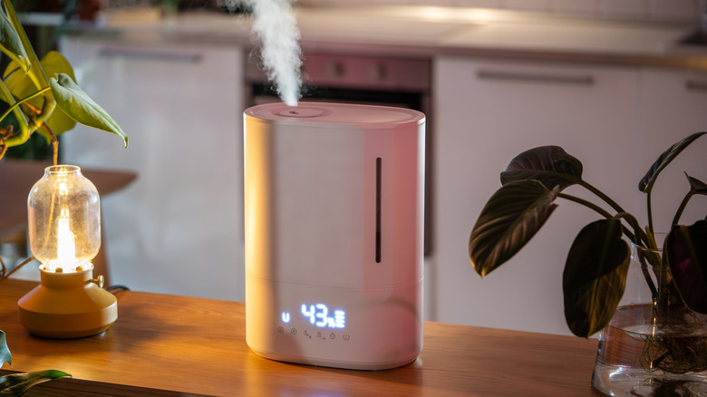 A humidifier in a kitchen with a table lamp and plants next to it