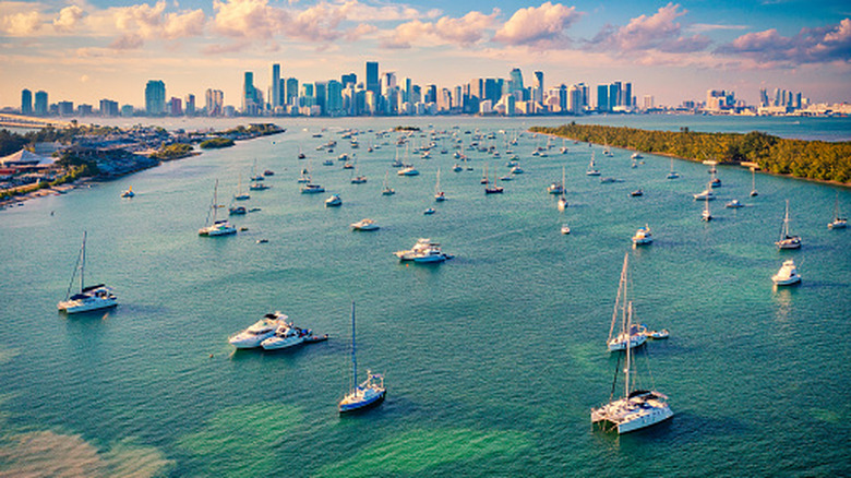 Boats in the foreground with the Miami skyline behind them