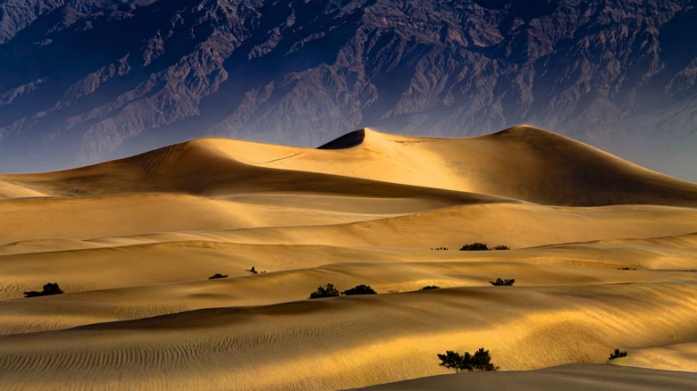 Mesquite Flat Sand Dunes in Death Valley National Park, California