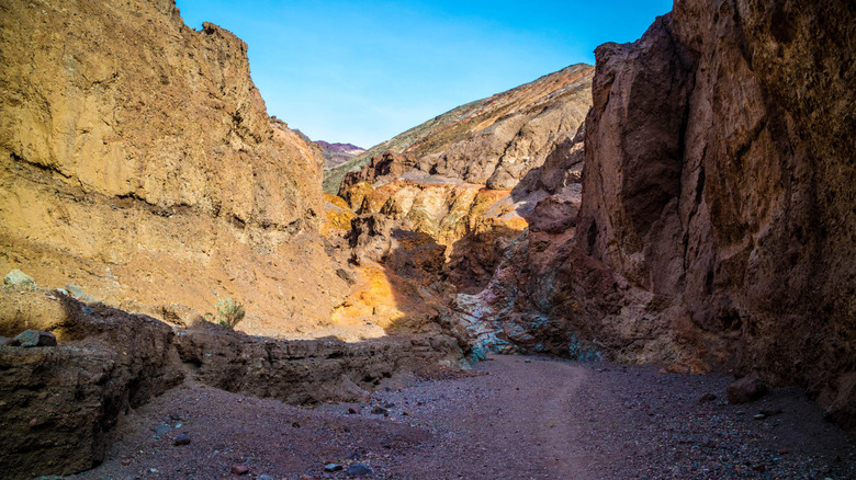 A trail through a canyon-filled, mountainous area of Death Valley National Park