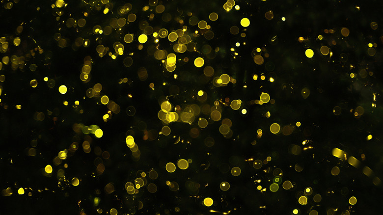 Magical view of hundreds of synchronous fireflies lighting up simultaneously in the dark
