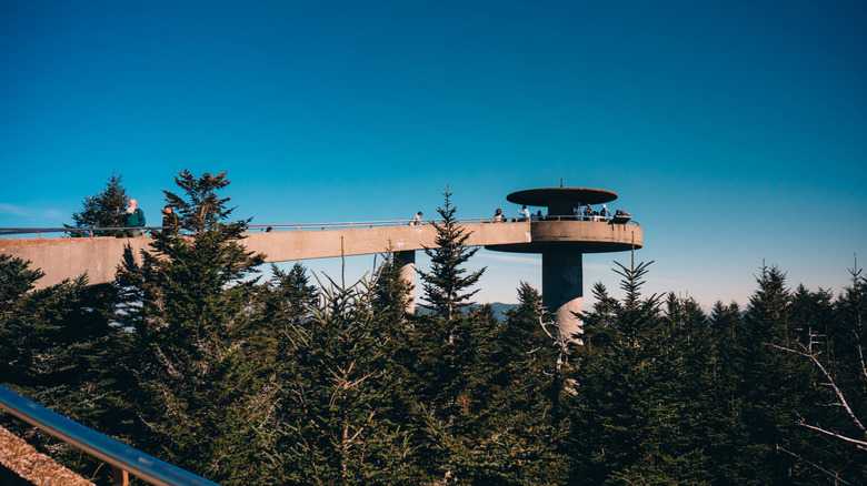 View of observation tower on Clingmans Dome / Kuwohi from a distance with pine trees and a bright blue sky