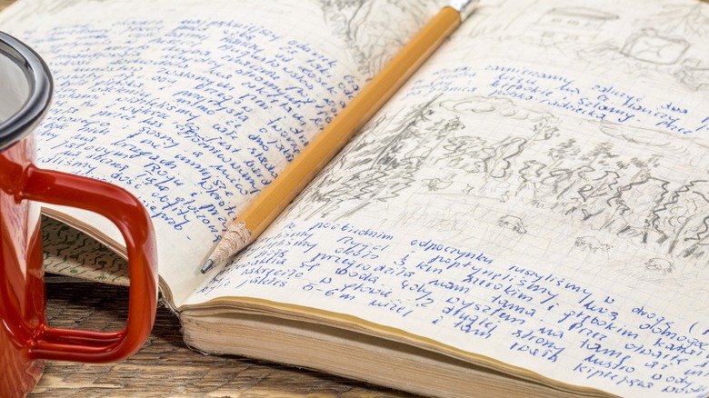 A pencil and a travel notebook