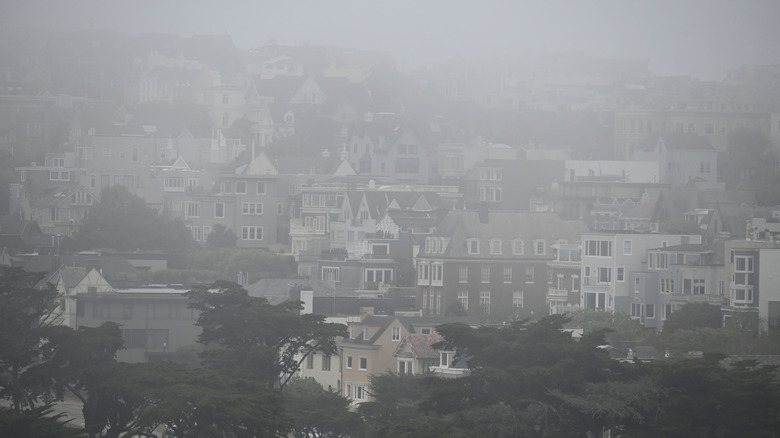 Dense fog in San Francisco seen in the Richmond district from Presidio overlook