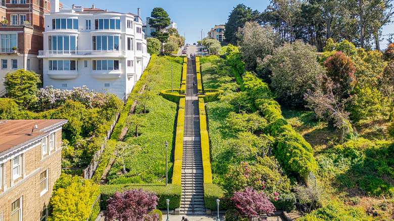The famous Lyon Street Stairs in San Francisco's Pacific Heights neighborhood