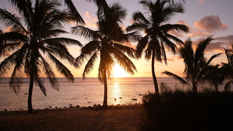 A golden sunset in Rarotonga, Cook Islands.