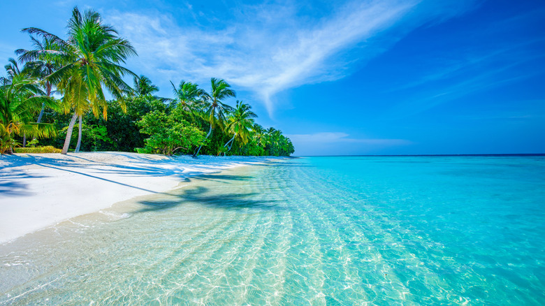 An idyllic beach in the Maldives.