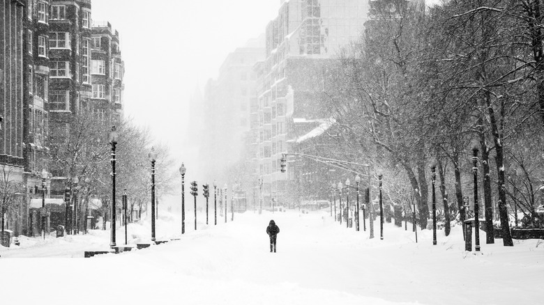 Person walking during Boston blizzard