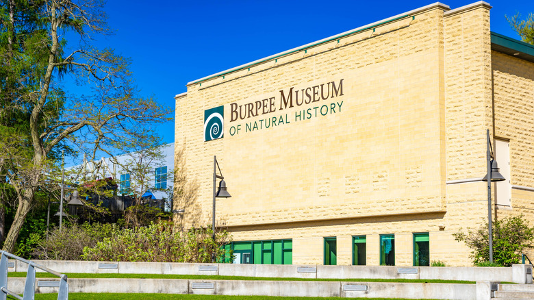 The brick facade of the Burpee Museum of Natural History in Rockford.