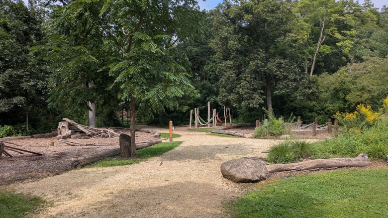 A natural playground made of logs at Wild Roots Nature Center.