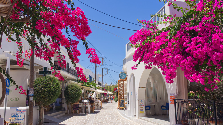 Whitewashed houses, cobbled lanes, flanked by bougainvillea on both sides