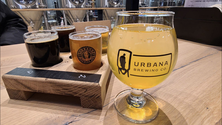 A flight of beer at Urbana Brewing Co.