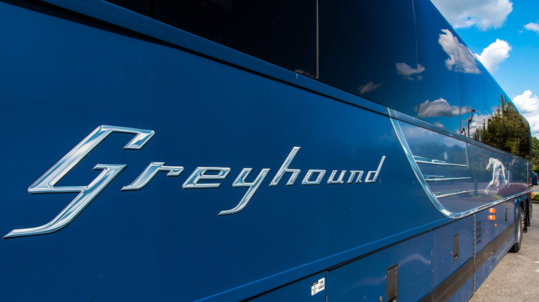 Greyhound bus close-up