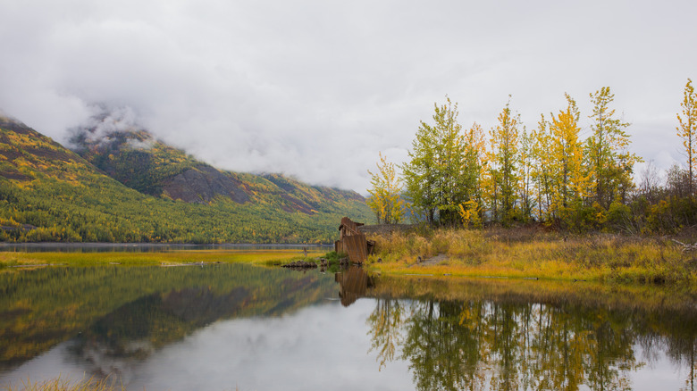 A mist rolling down a mountainside into the Eklutna Lake in Alaska with yellow fall foliage.