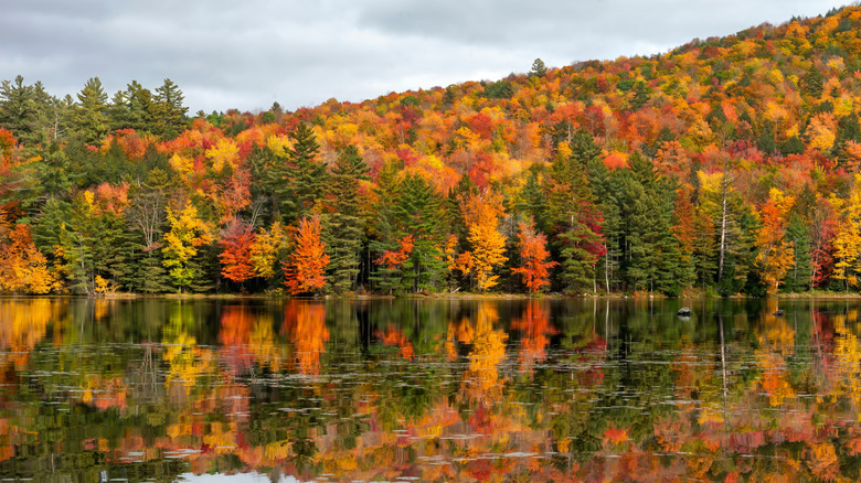 Colorful fall foliage along the banks of a lake in Vermont.