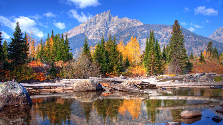 Grand Teton Mountains reflecting into Jenny Lake with colorful fall foliage