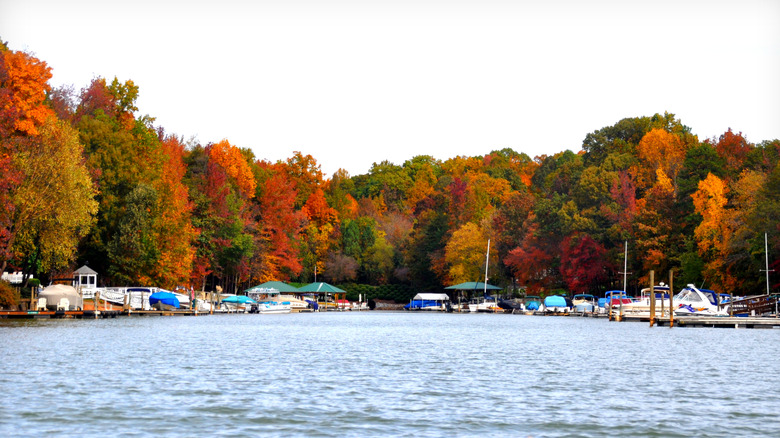 Boats lined up along the shoreline of Lake Norman in North Carolina with colorful fall foliage on trees