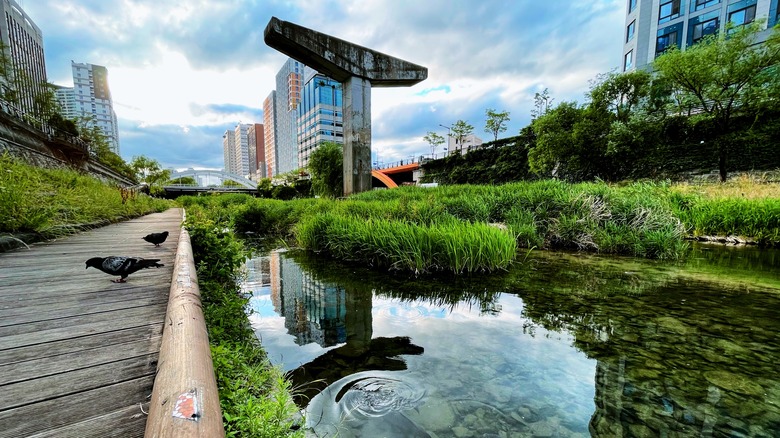 Wooden paths and creeks in Cheonggyecheon, Seoul