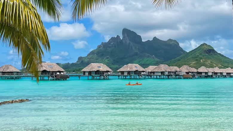 View of the Mount Otemanu and Four Seasons Bora Bora through palm trees