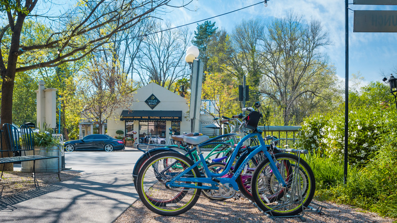 Bicycles next to vineyard