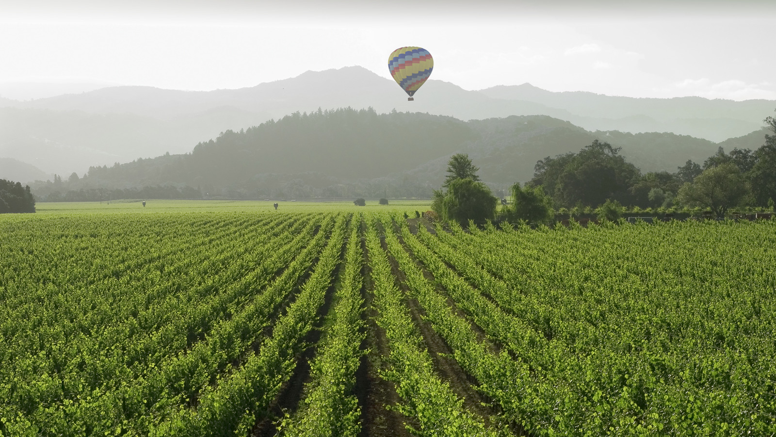 11 Best Things To Do In California's Iconic Napa Valley If You're Sober