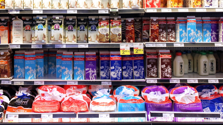 Selection of milk and dairy products on shelves in a supermarket in Toronto