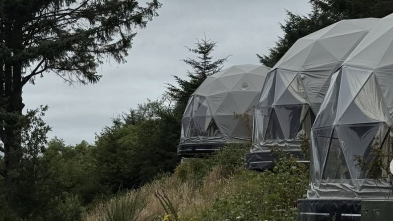 Three geodomes surrounded by forest at Two Capes Lookout