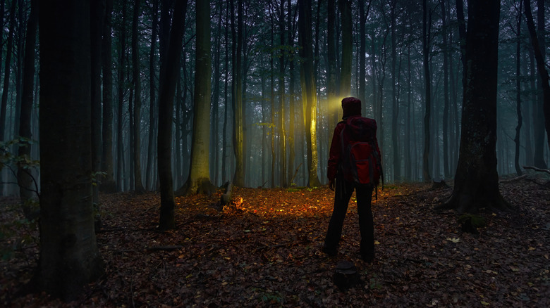 A traveler lights the way with a headlamp amid trees