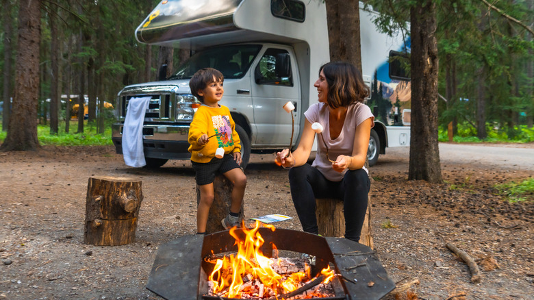Mother and son roasting marshmallows over a campfire