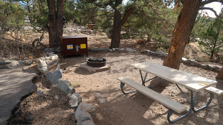 A campsite at Pinon Flats campground, Great Sand Dunes National Park, with a bear box