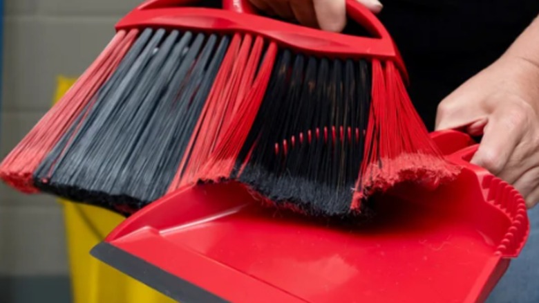 A handheld broom and dustpan from Costco