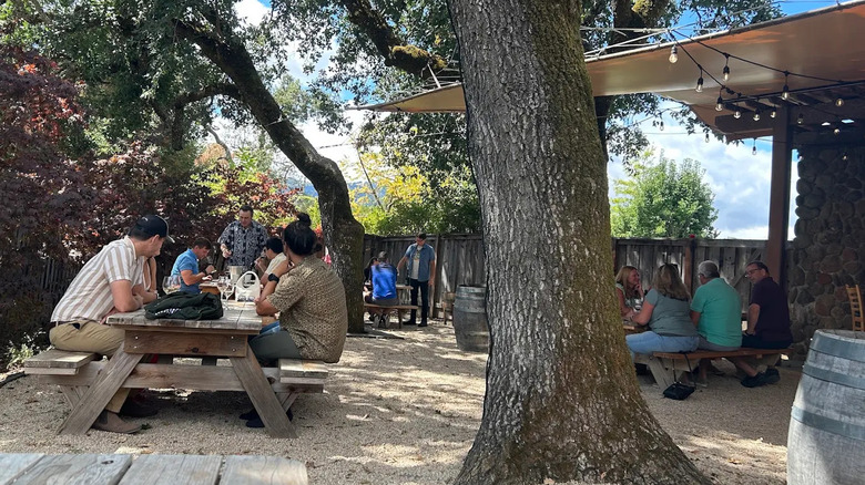 People seated at picnic tables in the shade at Mayo Family Winery in Glen Ellen, California