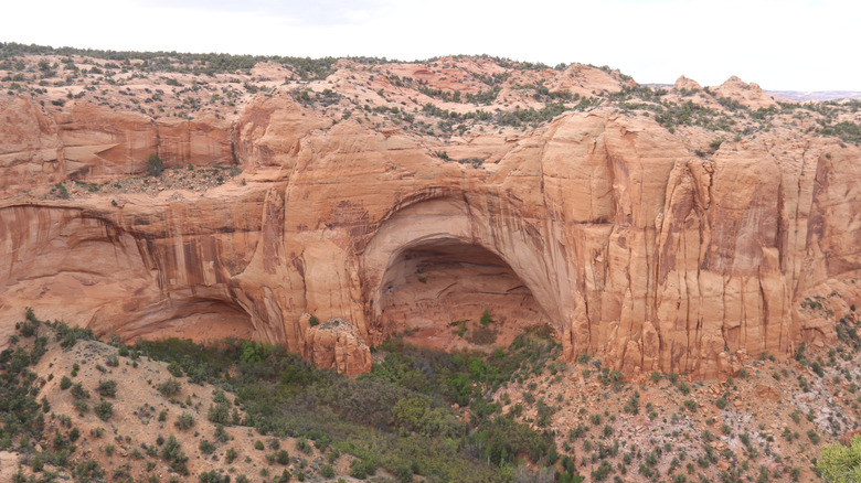 A view from the clifftop trail at Navajo National Monument of an Ancestral Puebloan cliff dwelling