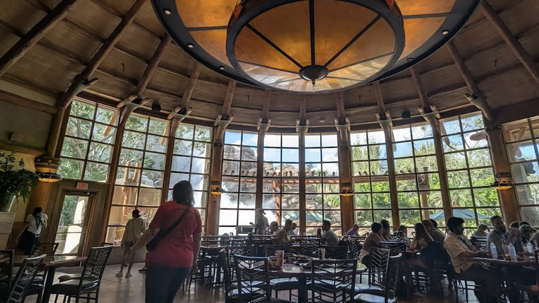 Gorgeous waterfall view from Thunder Falls Terrace at Universal Islands of Adventure from inside the restaurant.