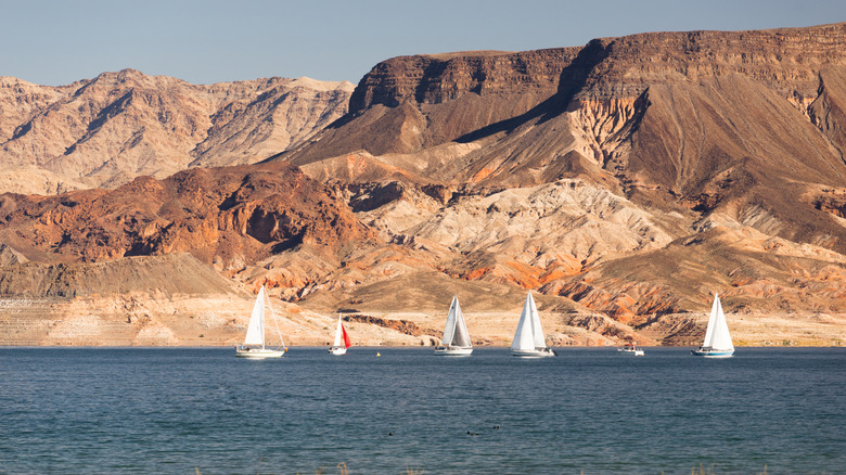 Sail boats on Lake Mead on a sunny day