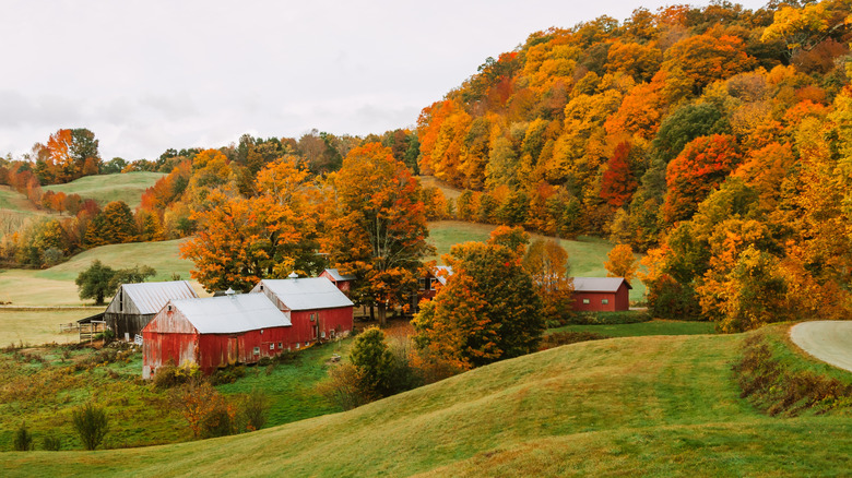 Farm houses and foliage in Vermont