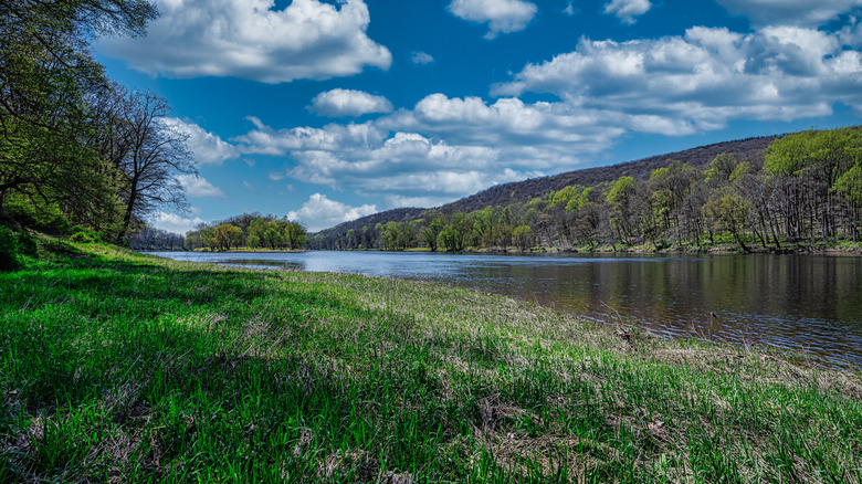 A view of a river in Hardwick, New Jersey