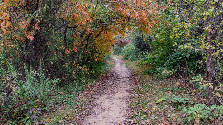 Autumn hike in Codorus State Park